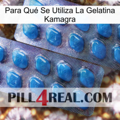 Para Qué Se Utiliza La Gelatina Kamagra viagra2